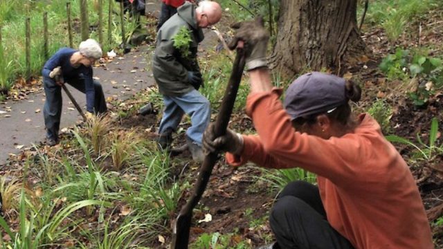 Oakley Creek restoration day